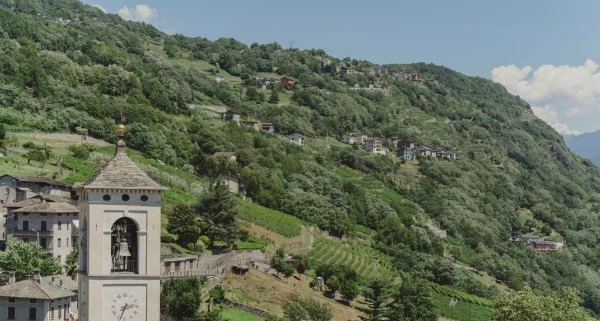 Valtellina - Dislivelli - Landscape
