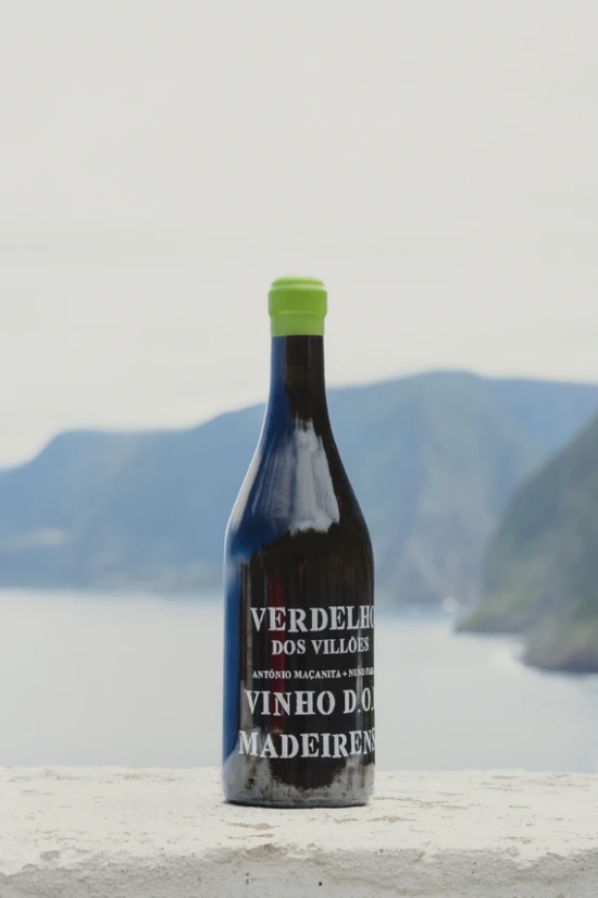 Verdelho dos Villões