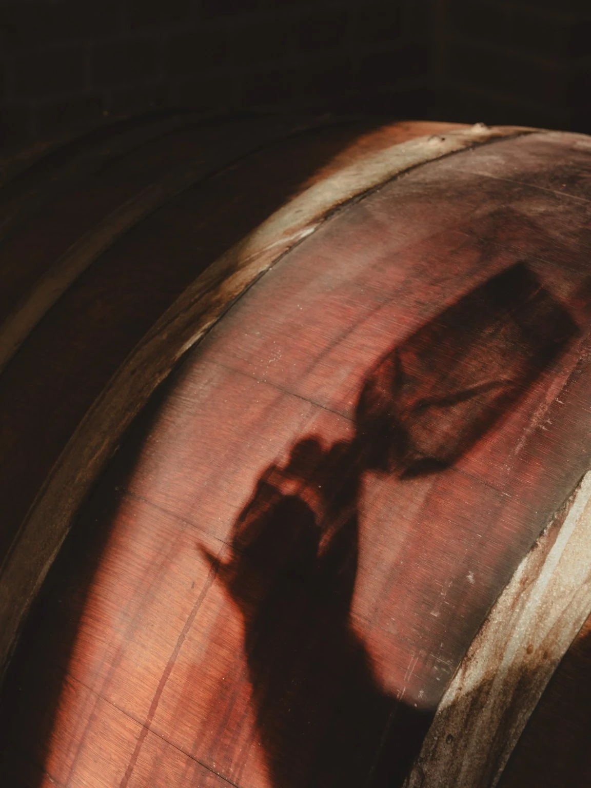 Stefano Peyrani - Piemonte - Cantina nel Monferrato astigiano
